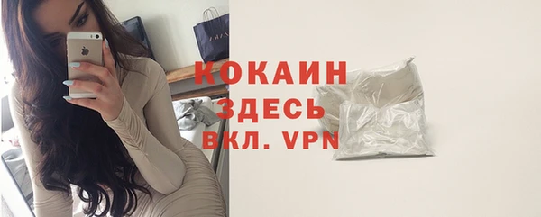 гидра Белокуриха